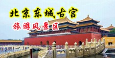 黑丝jk校花被强操内射中国北京-东城古宫旅游风景区